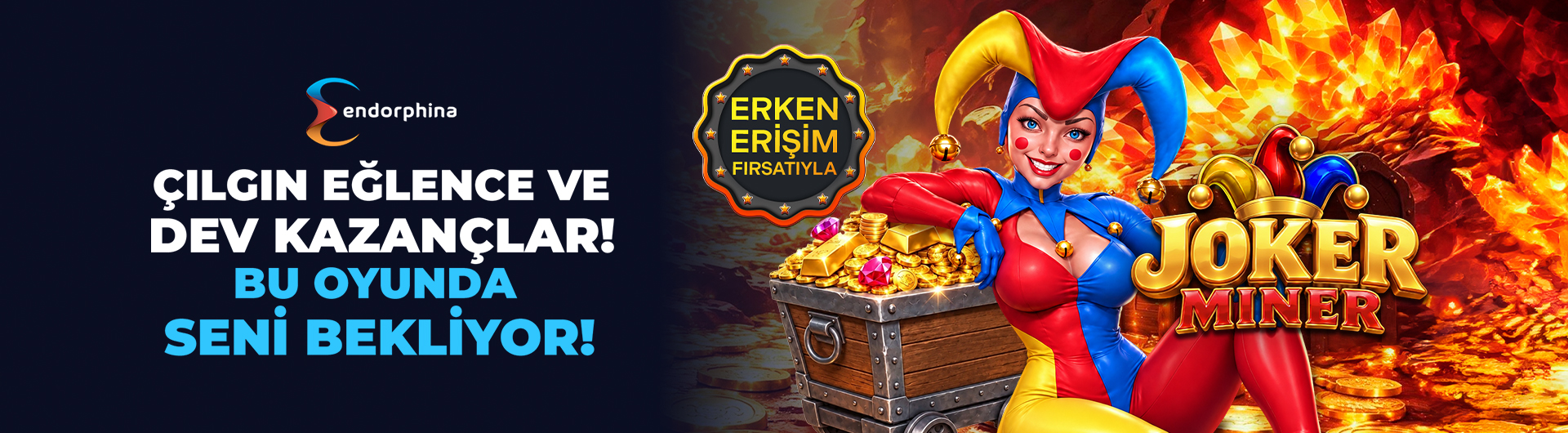 endo erken erişim